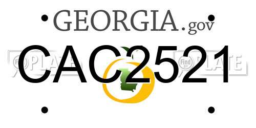 CAC2521 Georgia License Plate