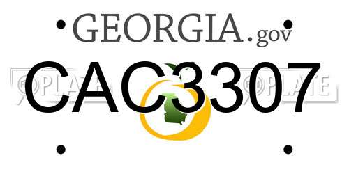 CAC3307 Georgia License Plate