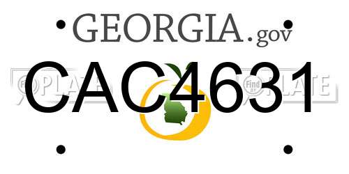 CAC4631 Georgia License Plate