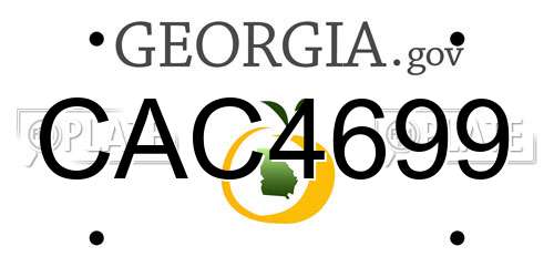 CAC4699 Georgia License Plate