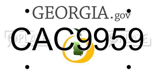 CAC9959 Georgia License Plate