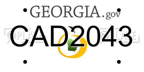 CAD2043 Georgia License Plate