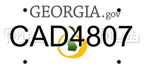 CAD4807 Georgia License Plate