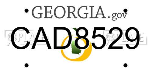 CAD8529 Georgia License Plate