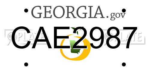 CAE2987 Georgia License Plate
