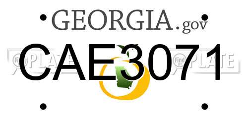 CAE3071 Georgia License Plate