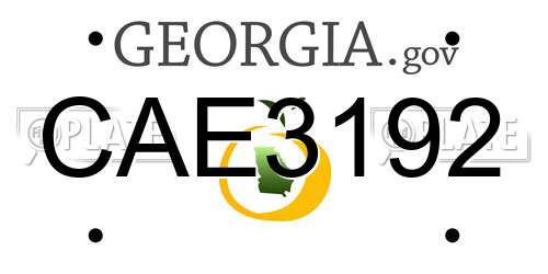 CAE3192 Georgia License Plate