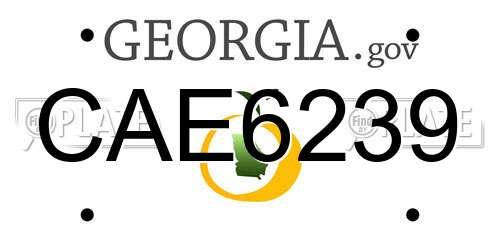 CAE6239 Georgia License Plate