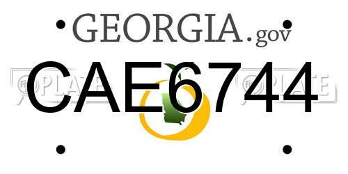 CAE6744 Georgia License Plate