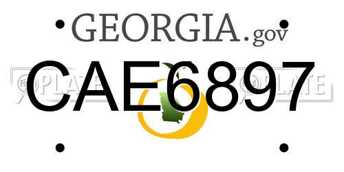 CAE6897 Georgia License Plate