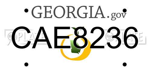 CAE8236 Georgia License Plate