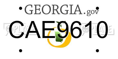 CAE9610 Georgia License Plate