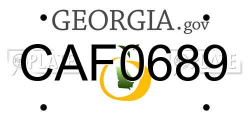 CAF0689 Georgia License Plate