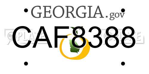 CAF8388 Georgia License Plate