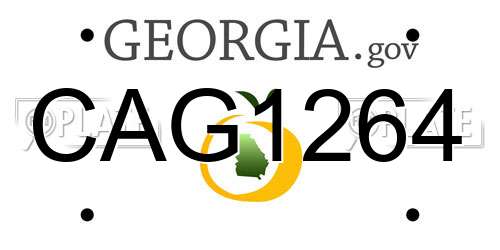 CAG1264 Georgia License Plate