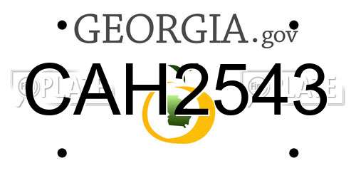 CAH2543 Georgia License Plate