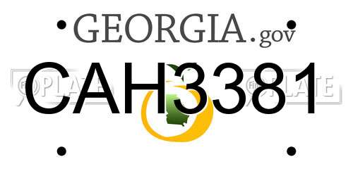 CAH3381 Georgia License Plate