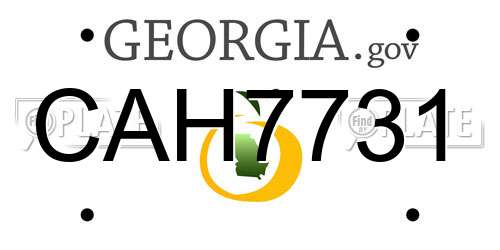CAH7731 Georgia License Plate