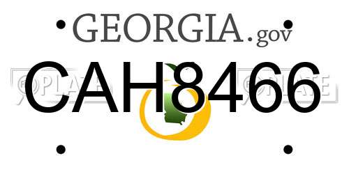 CAH8466 Georgia License Plate