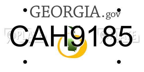 CAH9185 Georgia License Plate