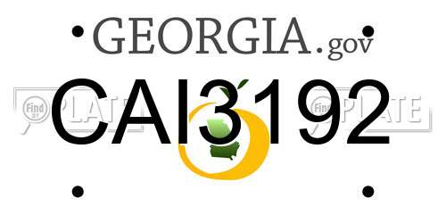CAI3192 Georgia License Plate
