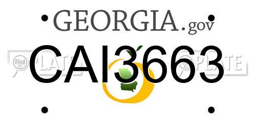 CAI3663 Georgia License Plate