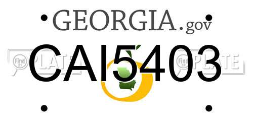 CAI5403 Georgia License Plate