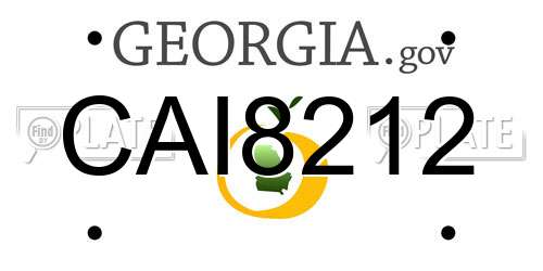CAI8212 Georgia License Plate