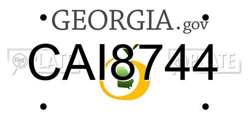 CAI8744 Georgia License Plate