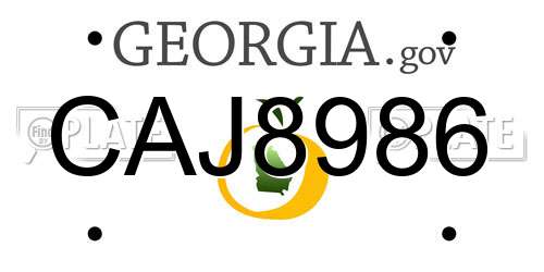 CAJ8986 Georgia License Plate