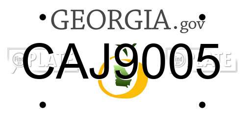 CAJ9005 Georgia License Plate