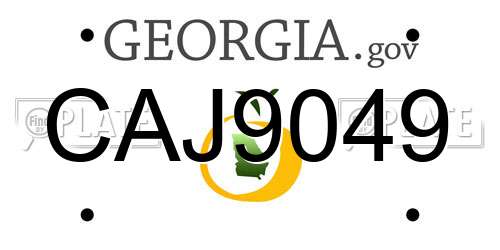 CAJ9049 Georgia License Plate