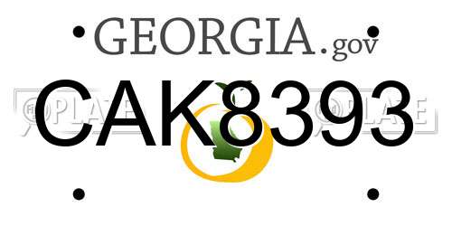 CAK8393 Georgia License Plate