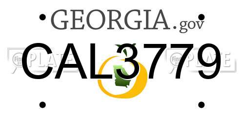 CAL3779 Georgia License Plate