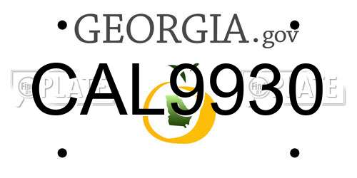 CAL9930 Georgia License Plate