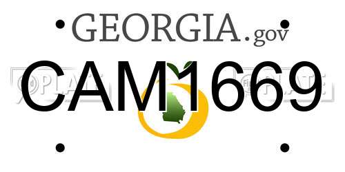 CAM1669 Georgia License Plate