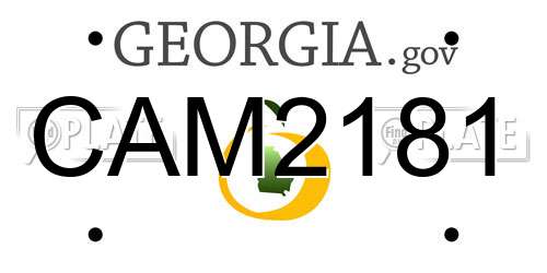 CAM2181 Georgia License Plate