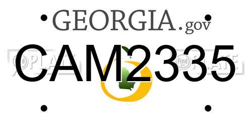 CAM2335 Georgia License Plate