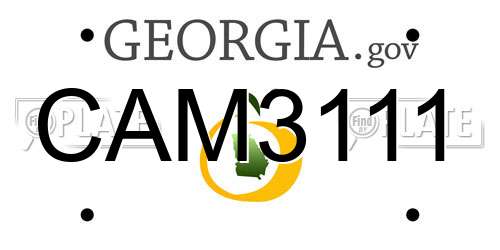 CAM3111 Georgia License Plate