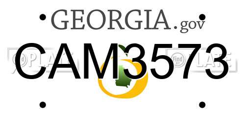 CAM3573 Georgia License Plate