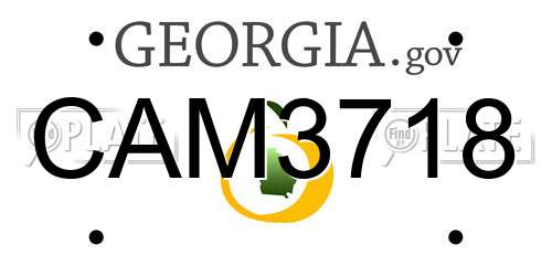 CAM3718 Georgia License Plate