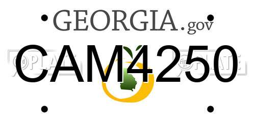 CAM4250 Georgia License Plate