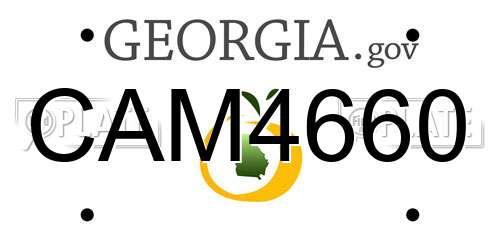 CAM4660 Georgia License Plate