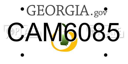 CAM6085 Georgia License Plate