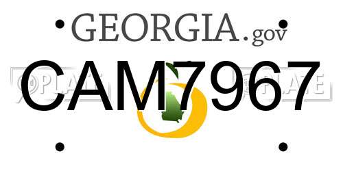 CAM7967 Georgia License Plate