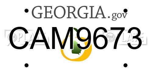 CAM9673 Georgia License Plate