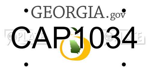 CAP1034 Georgia License Plate