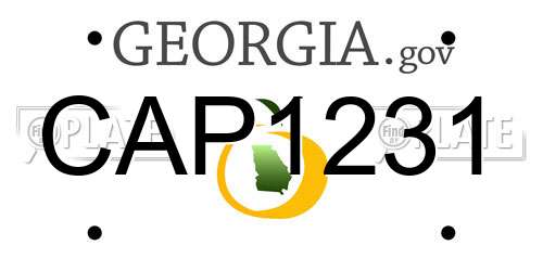 CAP1231 Georgia License Plate