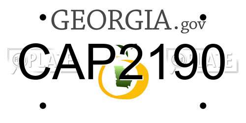 CAP2190 Georgia License Plate