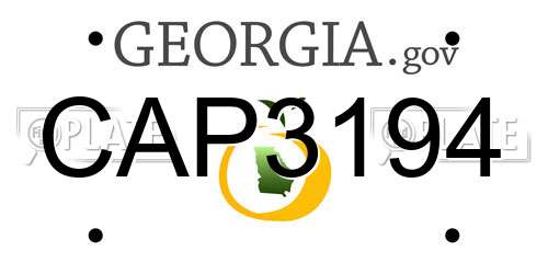 CAP3194 Georgia License Plate